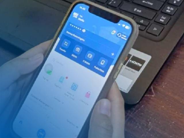 BRImo Tidak Bisa Melihat Saldo